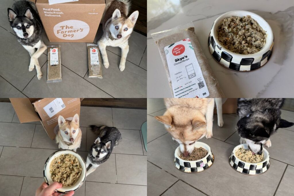 Copper and Skye with The Farmer’s Dog fresh dog food but is it worth it in 2026