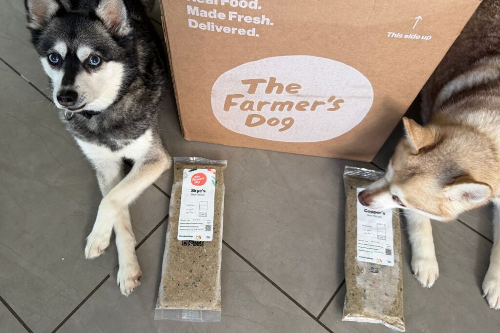 Copper sniffs The Farmer's Dog while Skye waits in April 2026