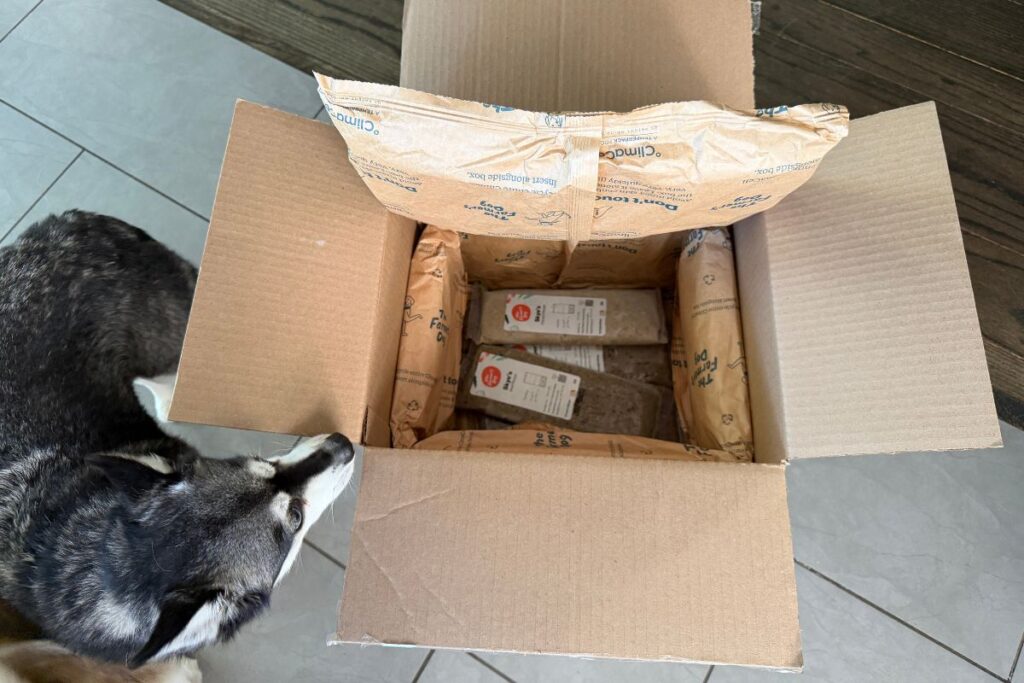 Skye sniffing The Farmer’s Dog delivery box in April 2026
