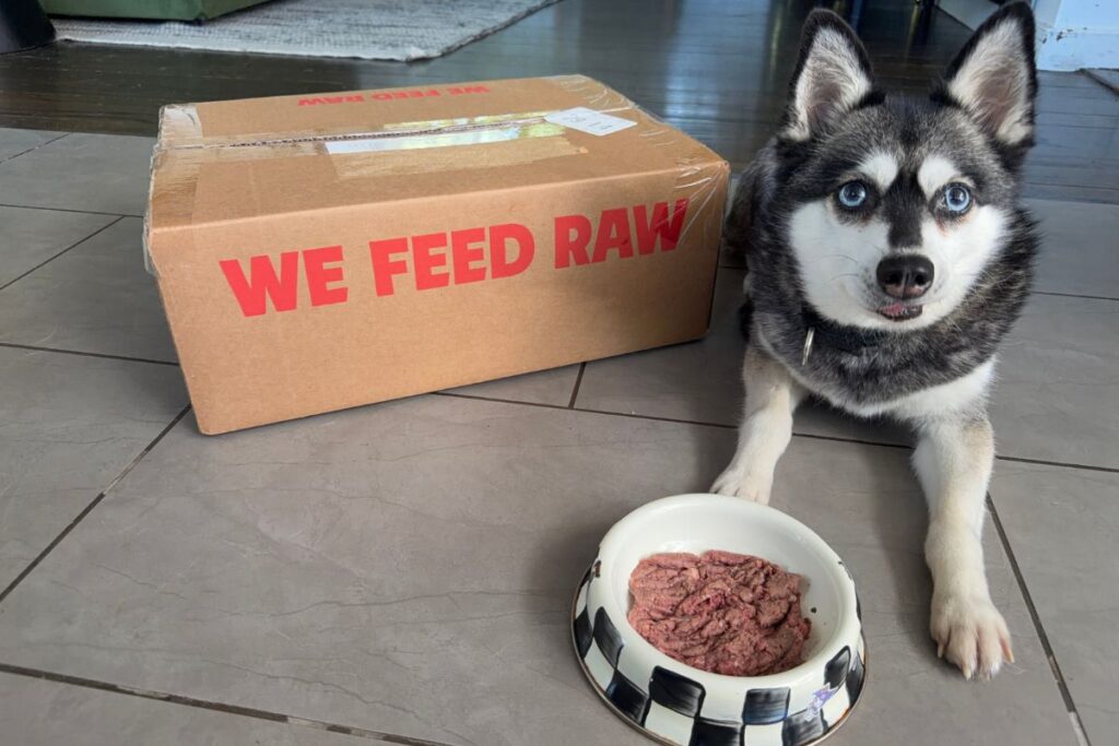 Skye next to the We Feed Raw box in April 2026