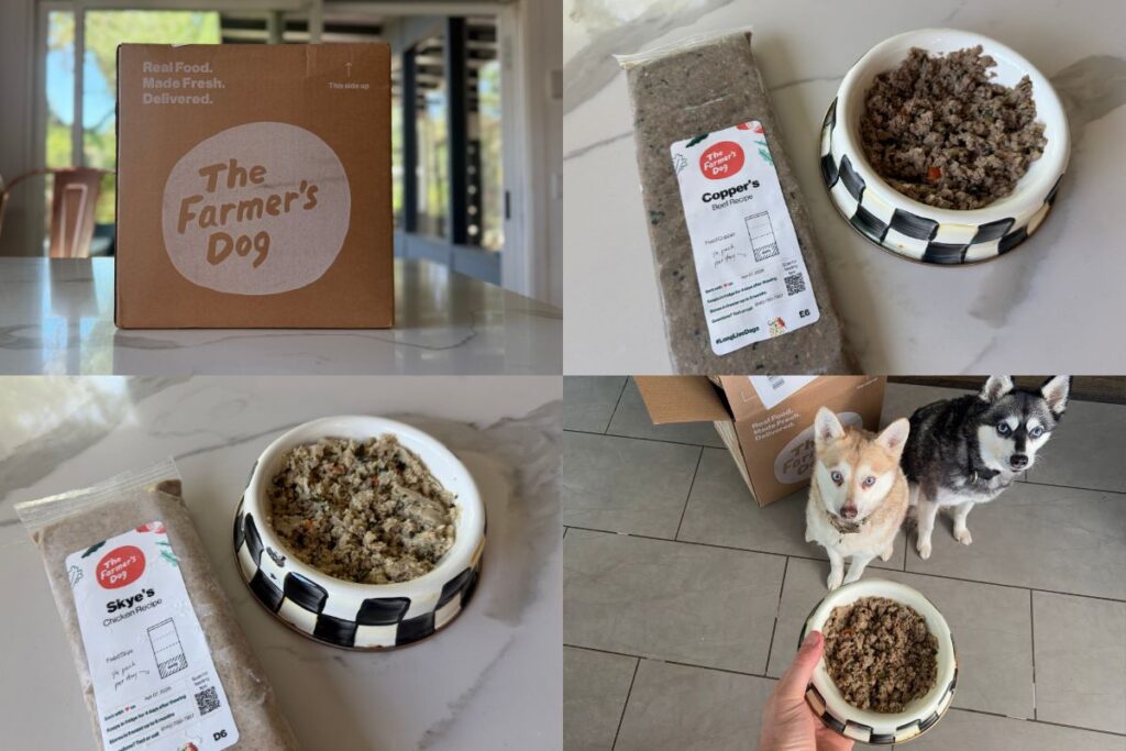 Copper and Skye with The Farmer’s Dog fresh meals reviewing price and value in April 2026