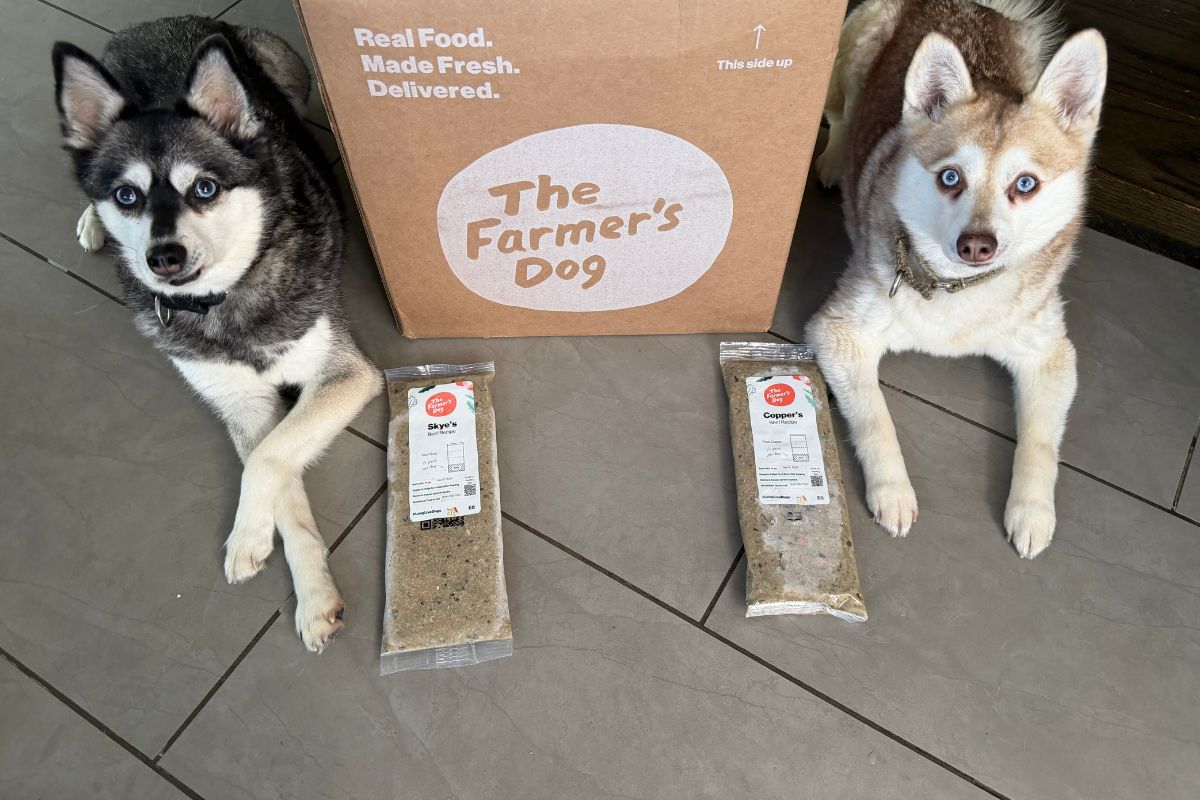 The Farmer's Dog Food