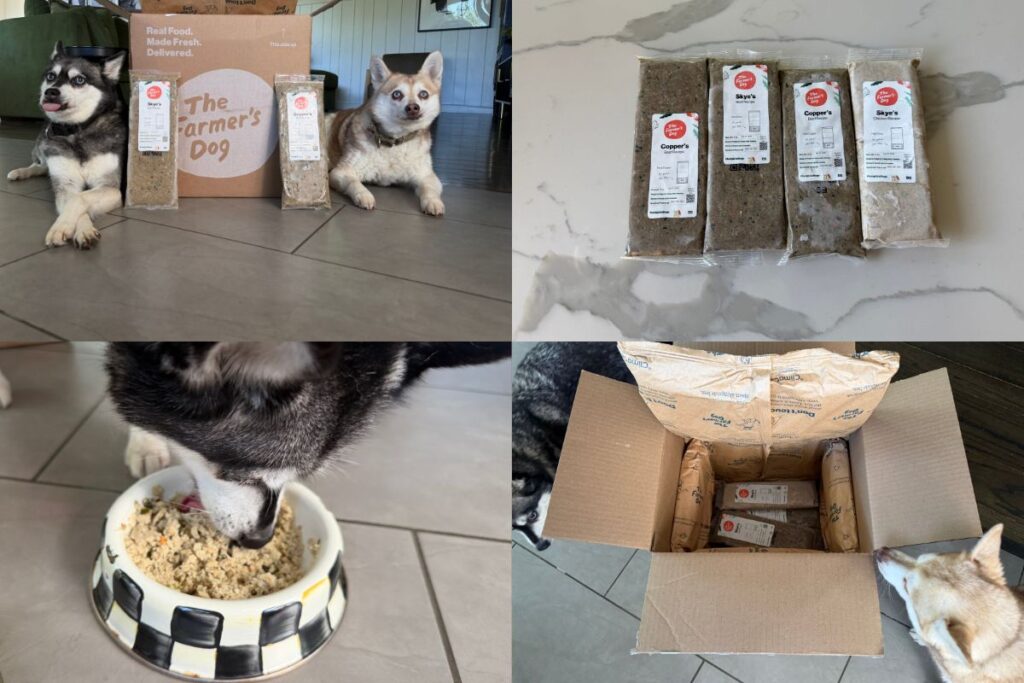 Copper and Skye with The Farmer’s Dog fresh dog food price in April 2026