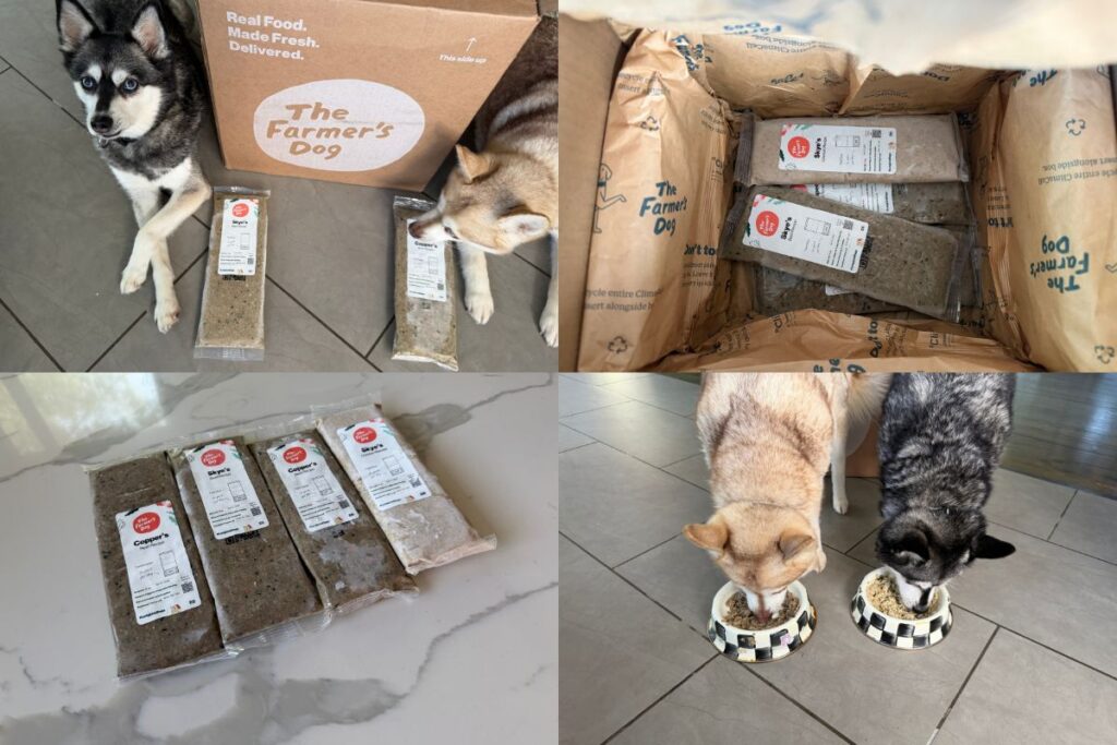 Copper and Skye with The Farmer’s Dog fresh dog food price review how much it costs and if it is worth it in April 2026