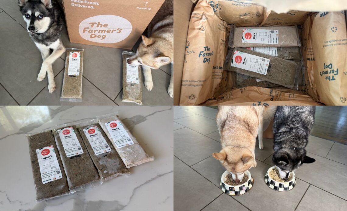 Copper and Skye with The Farmer’s Dog fresh dog food price review how much it costs and if it is worth it in April 2026