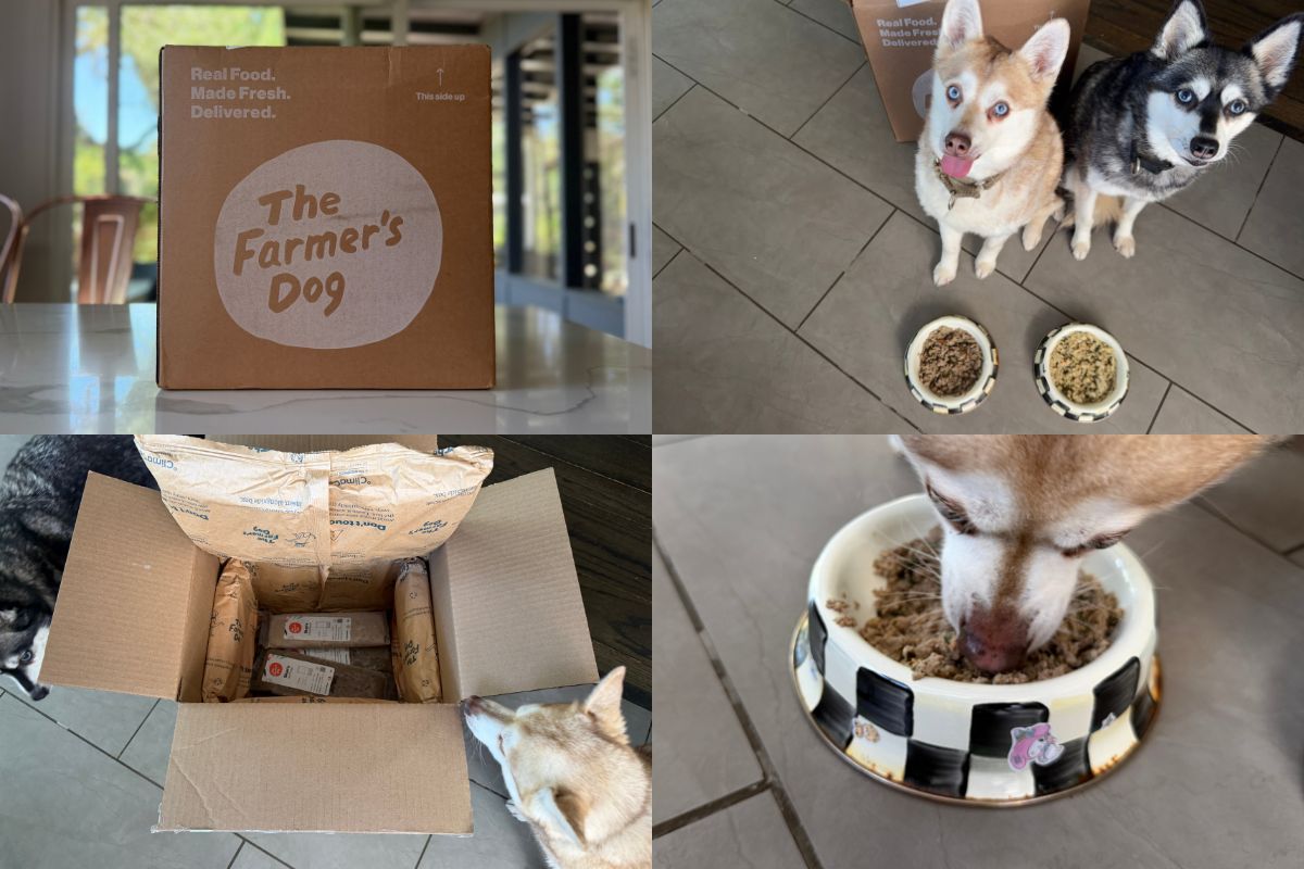 The Farmer's Dog Food