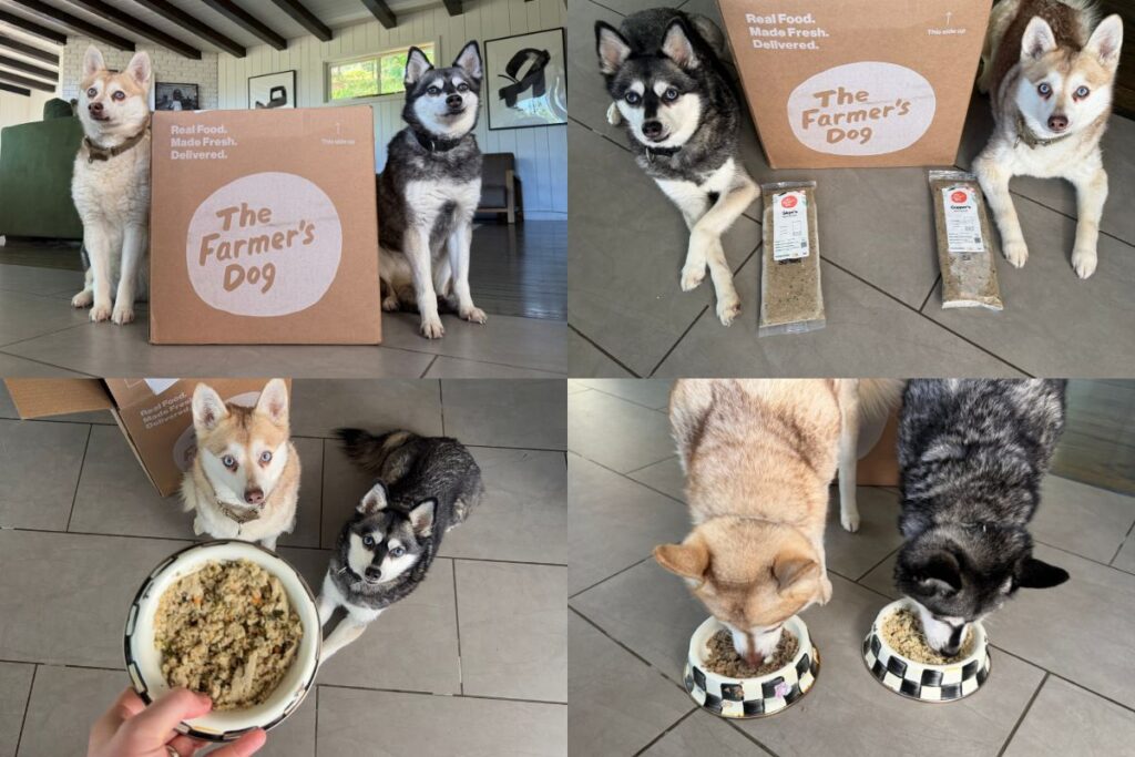 Copper and Skye with The Farmer’s Dog fresh dog food review covering pros cons and worth it in April 2026
