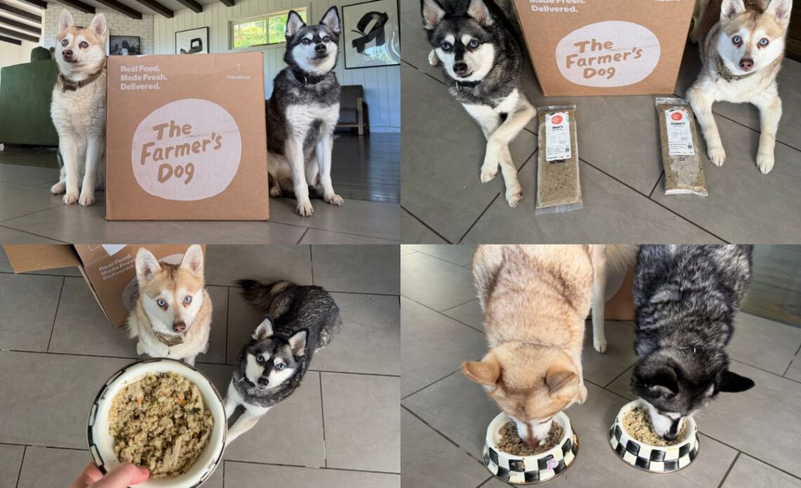 Copper and Skye with The Farmer’s Dog fresh dog food review covering pros cons and worth it in April 2026