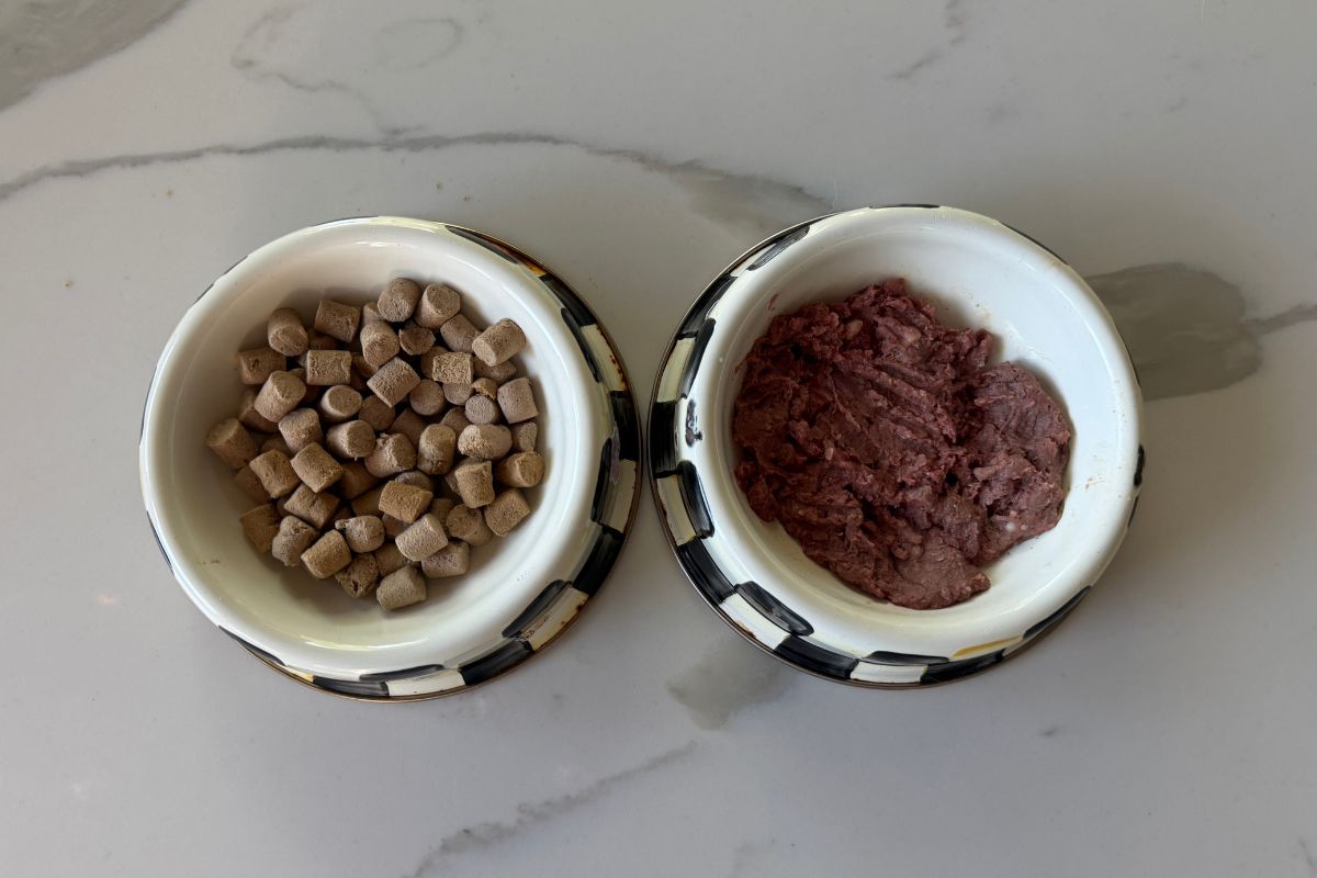 We Feed Raw freeze-dried food and raw food in the dog bowls in April 2026