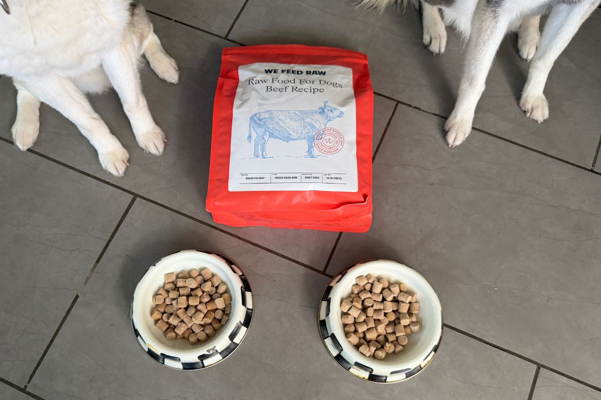 Skye and Copper wait for We Feed Raw