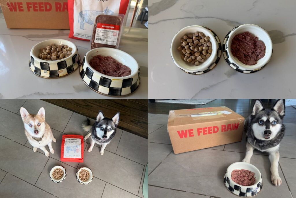 We Feed Raw Price in 2026