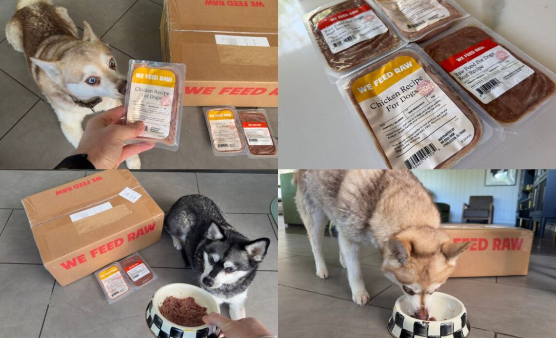 We Feed Raw Pros And Cons in April 2026