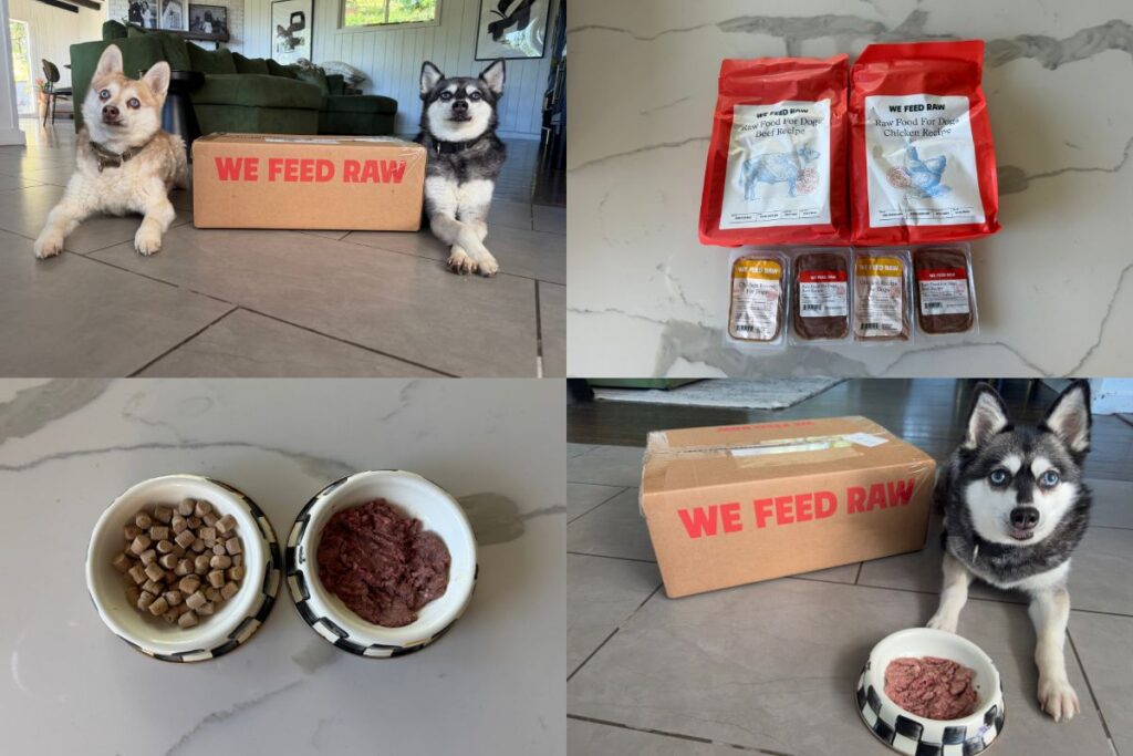 We Feed Raw Review in April 2026