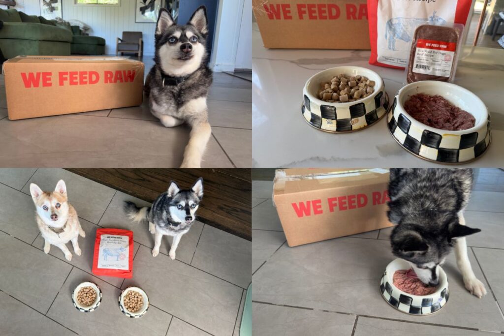 We Feed Raw Review Pros, Cons & Is It Worth It in April 2026