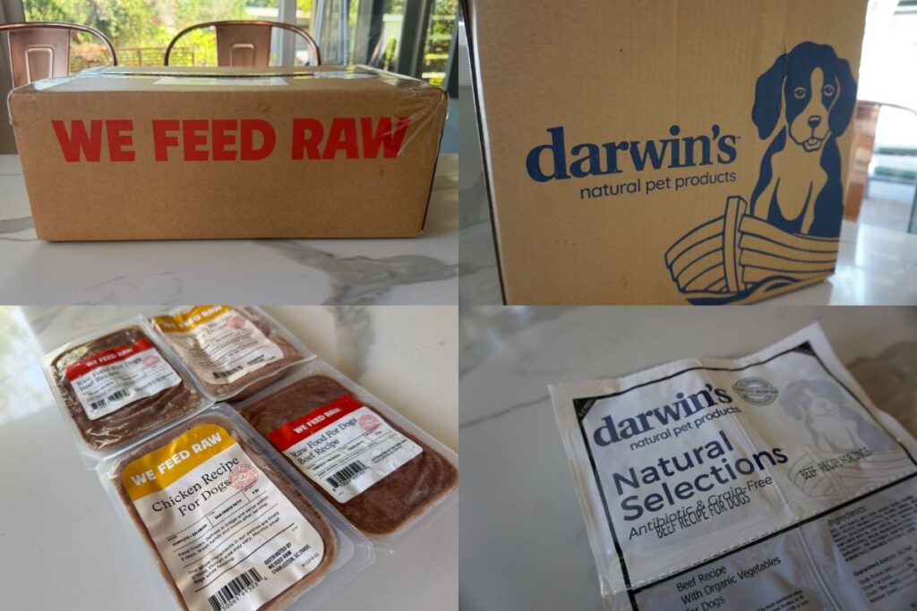 We Feed Raw Vs Darwin's Pet Products (2026) Which Is Better