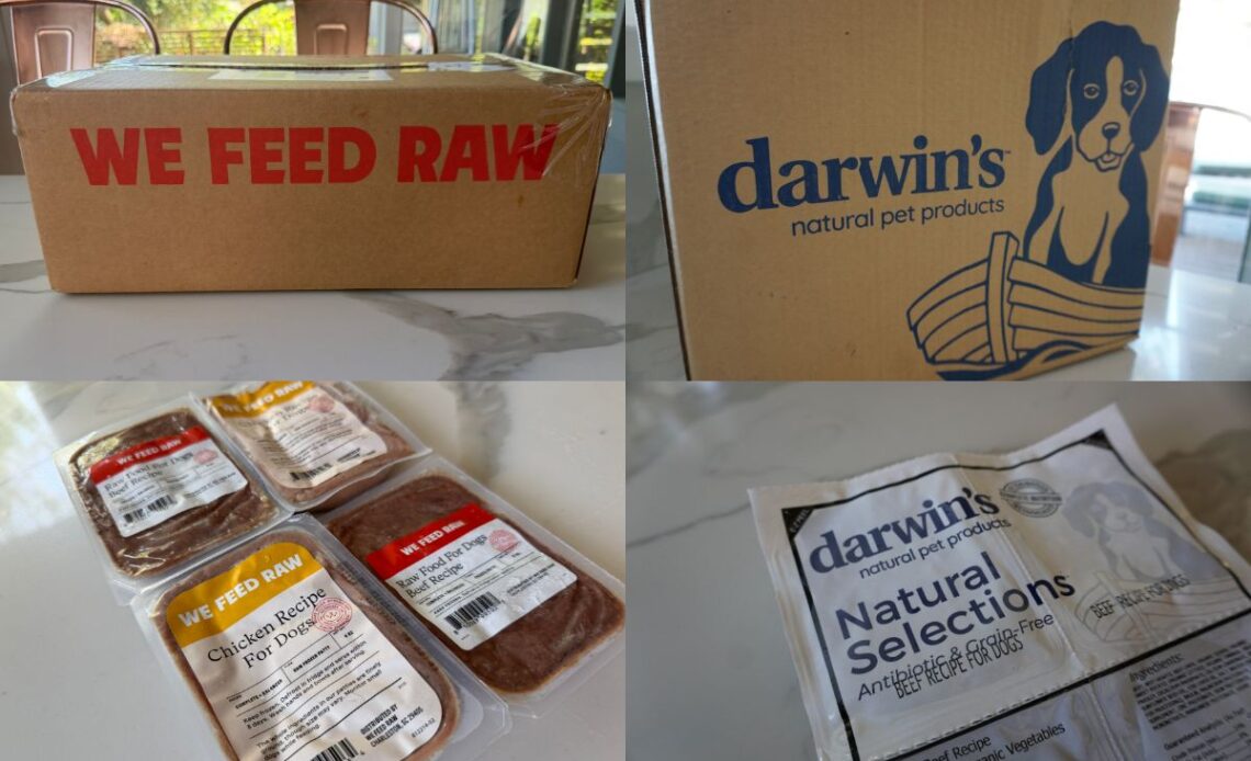 We Feed Raw Vs Darwin's Pet Products (2026) Which Is Better