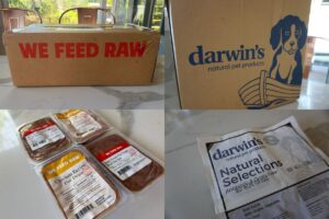 We Feed Raw Vs Darwin's Pet Products (2026) Which Is Better