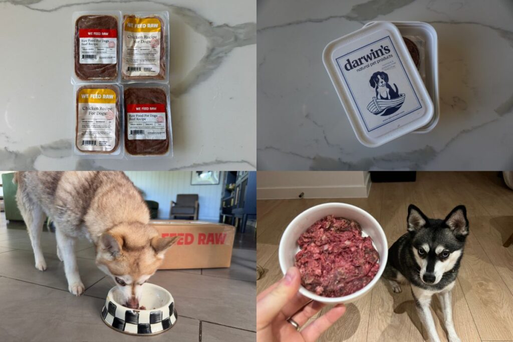 We Feed Raw Vs Darwin's Pet Products Our Verdict in April 2026