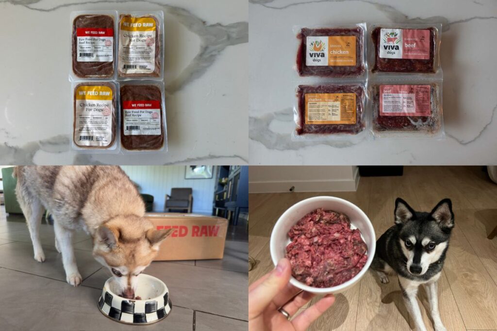 We Feed Raw Vs Viva Raw (2026) Which Dog Food Is Better