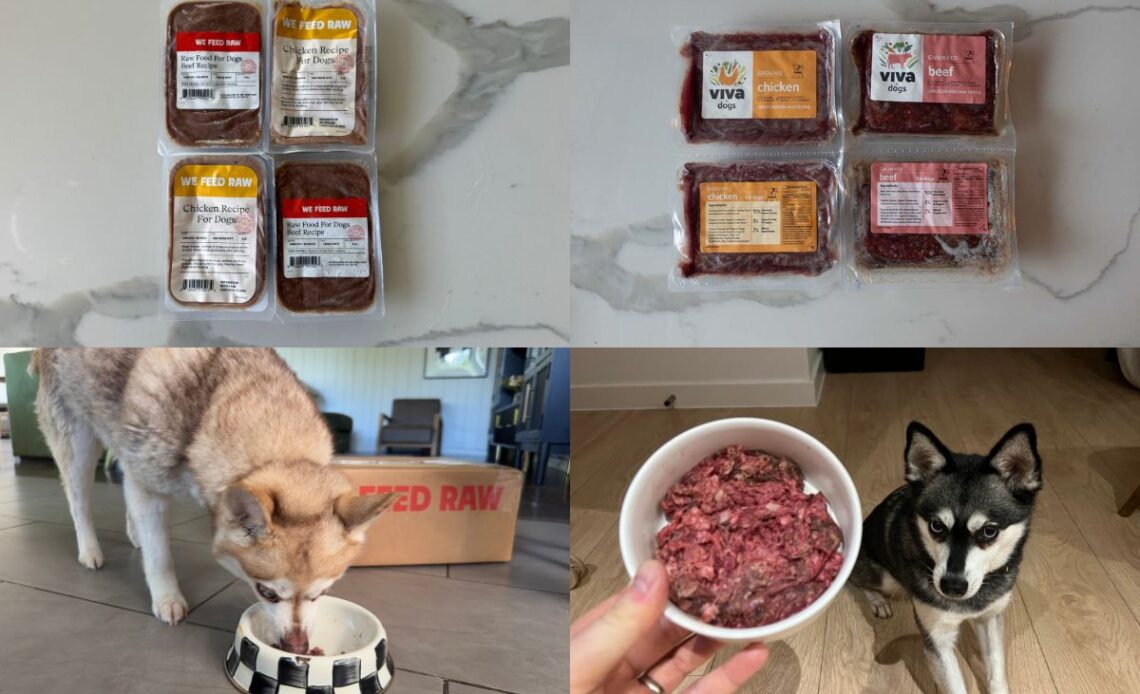 We Feed Raw Vs Viva Raw (2026) Which Dog Food Is Better