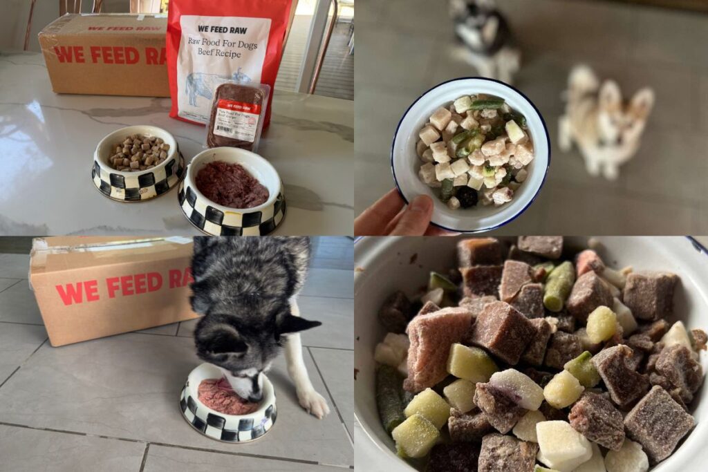 We Feed Raw vs Maev Comparison