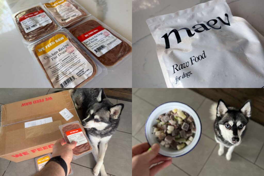 We Feed Raw vs Maev 2026 Which Is Better