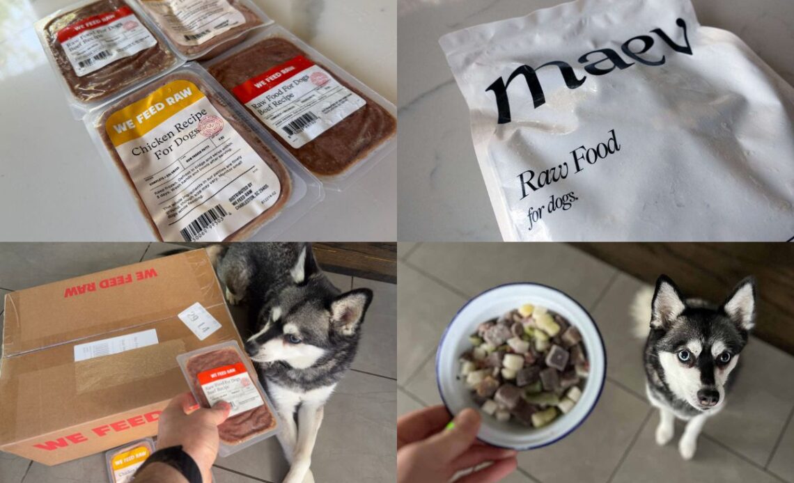 We Feed Raw vs Maev 2026 Which Is Better