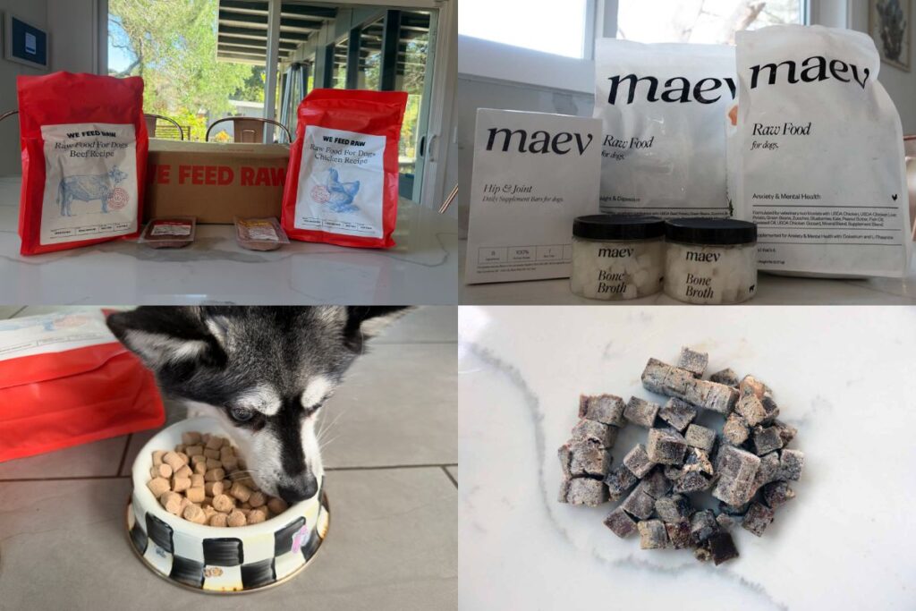 We Feed Raw vs Maev Review