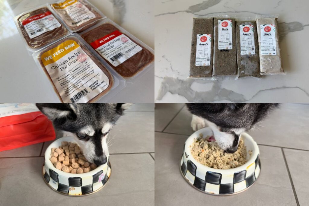 We Feed Raw vs The Farmers Dog in 2026