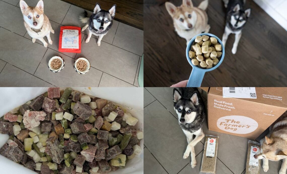 5 Best Alternatives to Sundays Dog Food (2026 Guide)