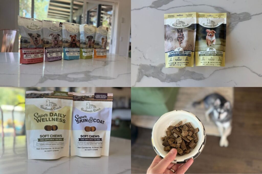Badlands Ranch Review (2026)