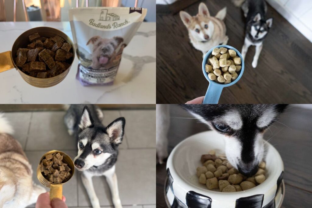 Badlands Ranch Vs UnKibble Review (2026)