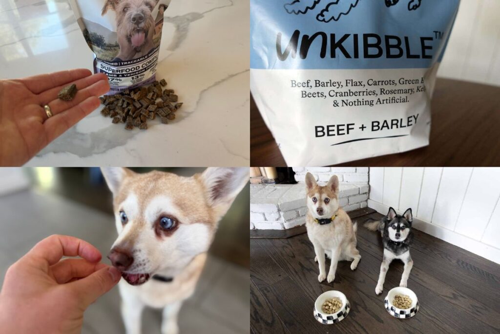 Badlands Ranch Vs UnKibble Which Dry Dog Food Is Better