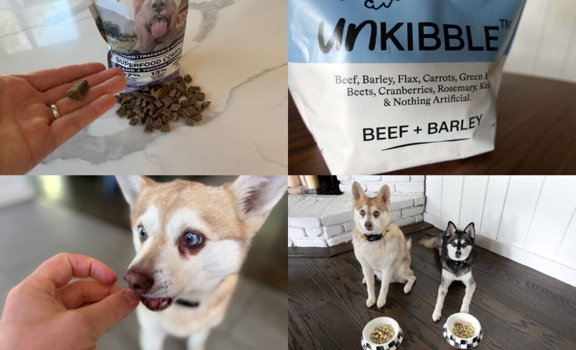 Badlands Ranch Vs UnKibble Which Dry Dog Food Is Better