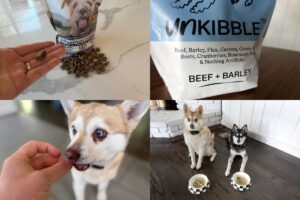 Badlands Ranch Vs UnKibble (2026): Which Dog Food Is Better?