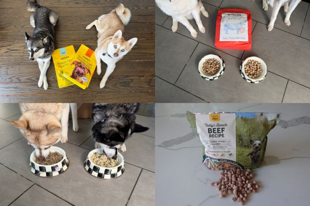 Best Alternatives to Sundays Dog Food Conclusion in May 2026