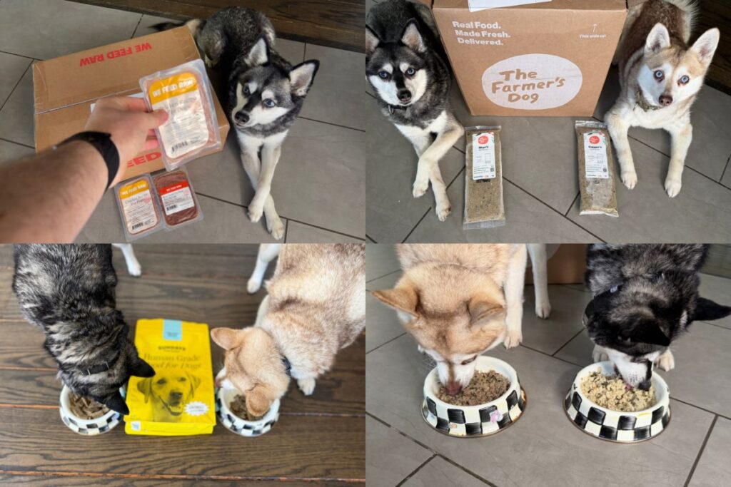 Best Dog Food For Picky Eaters (30+ Brands Tested)