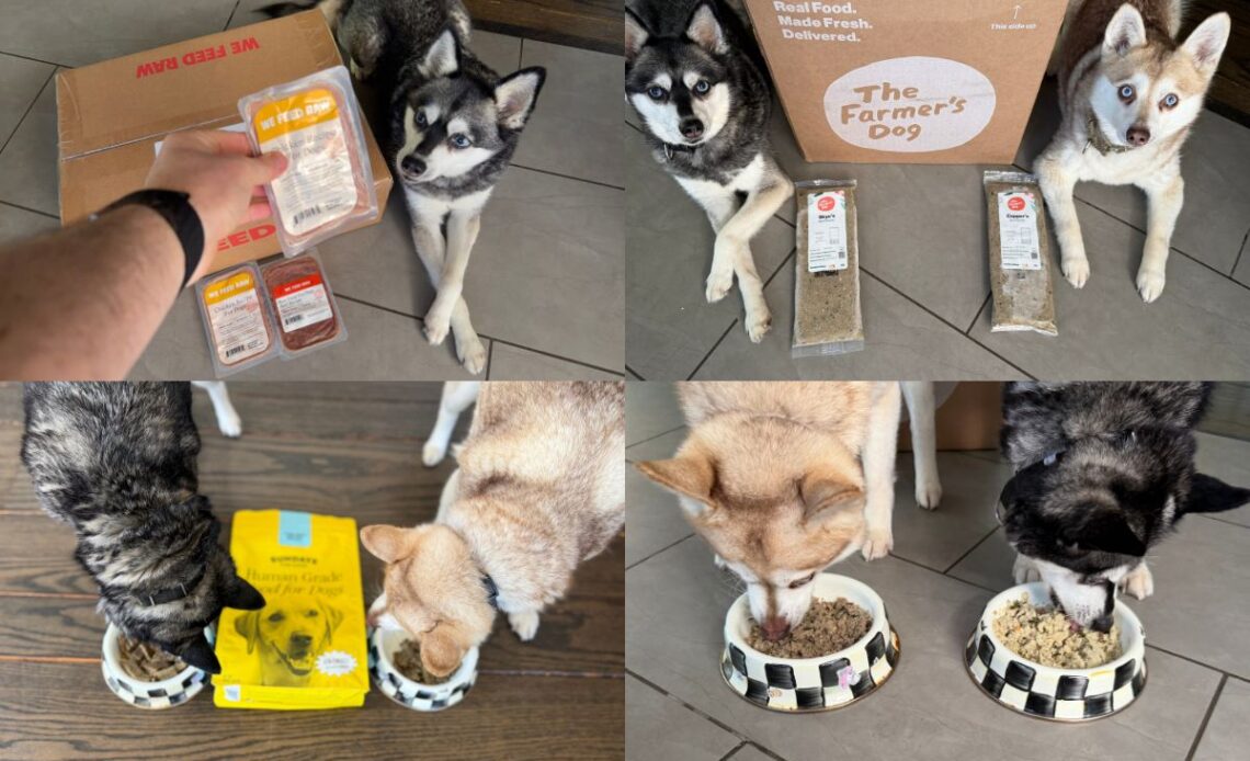 Best Dog Food For Picky Eaters (30+ Brands Tested)
