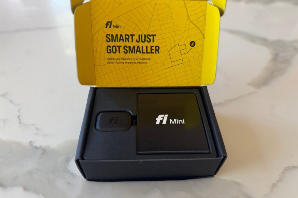 Fi Mini in 2026