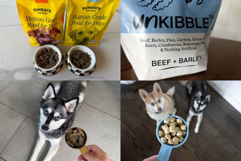 Sunday For Dogs Or UnKibble Who Do We Recommend in May 2026