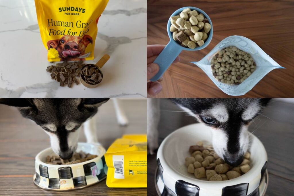 Sunday Vs UnKibble Wrapping Up in May 2026