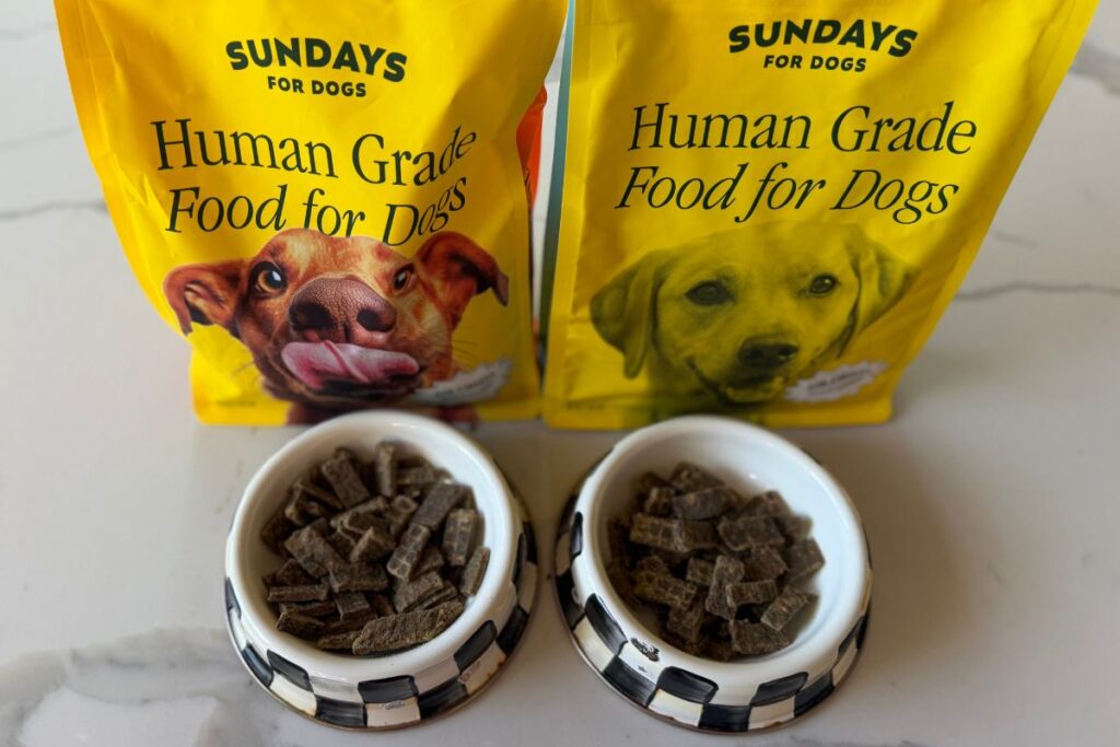 Sundays Dog Food Bowls in May 2026