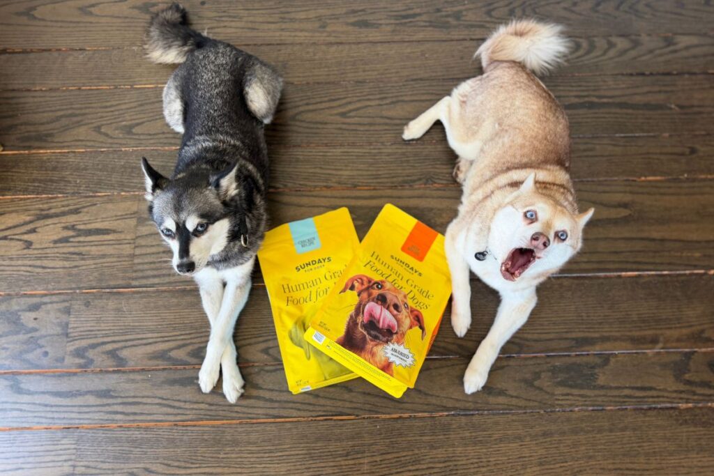 Sundays Dog Food in May 2026