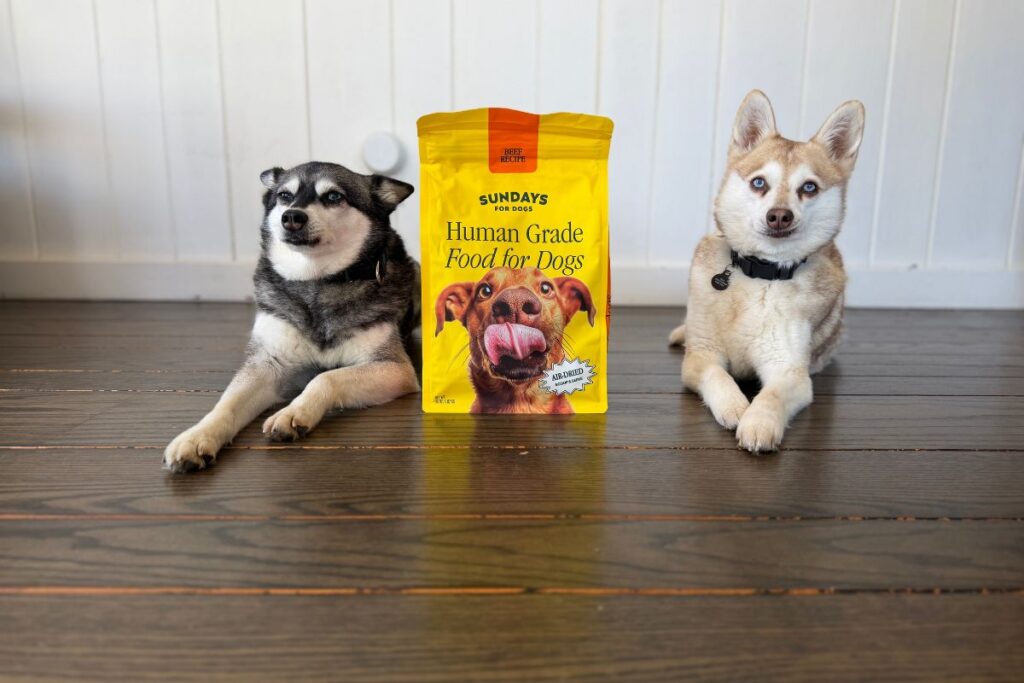 Sundays Dog Food Beef recipe in May 2026