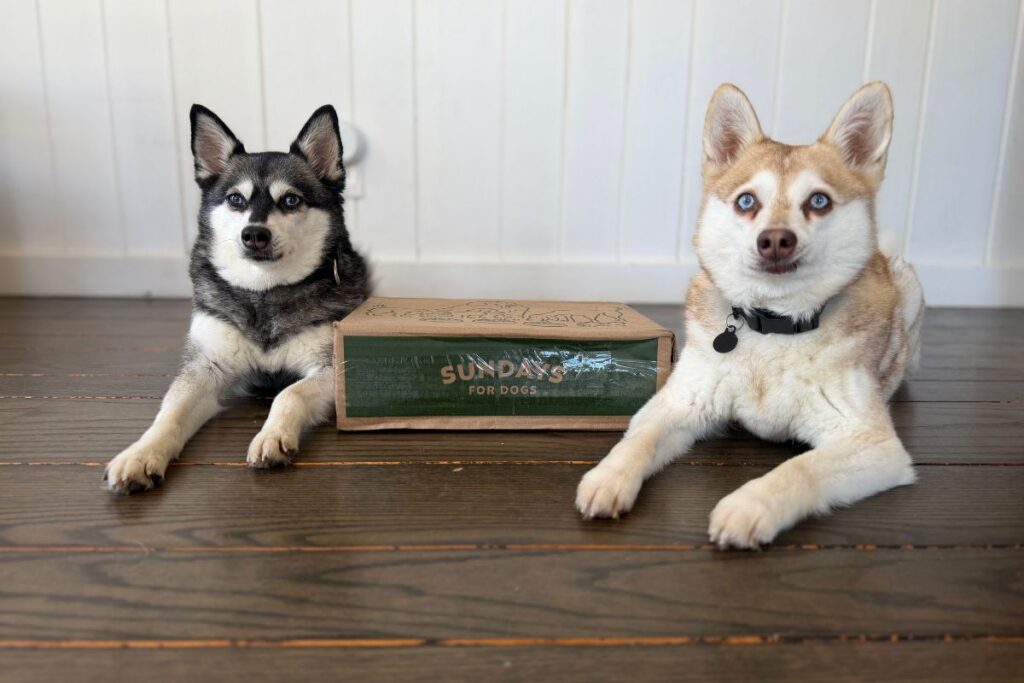 Sundays Dog Food Box in May 2026