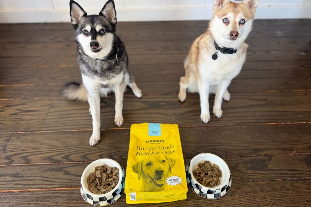Copper and Skye sit for Sundays in May 2026