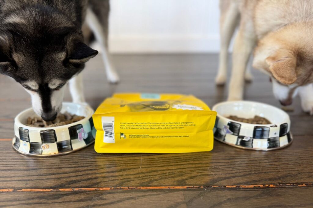 Copper and Skye tuck into Sundays Dog Food in May 2026