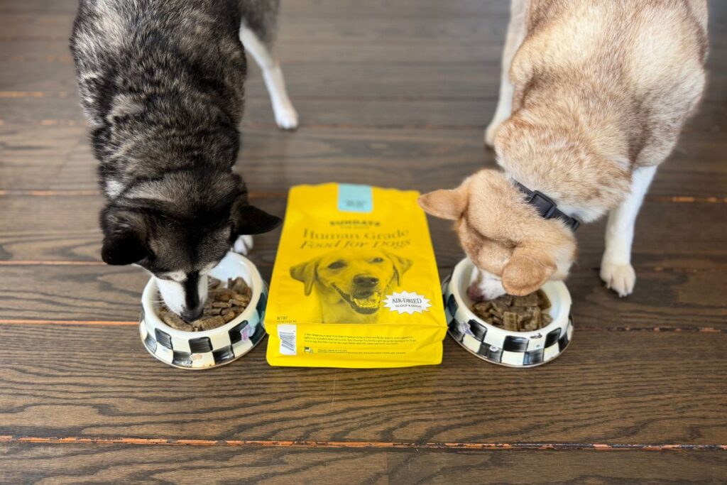Copper and Skye tuck into Sundays Dog Food in May 2026