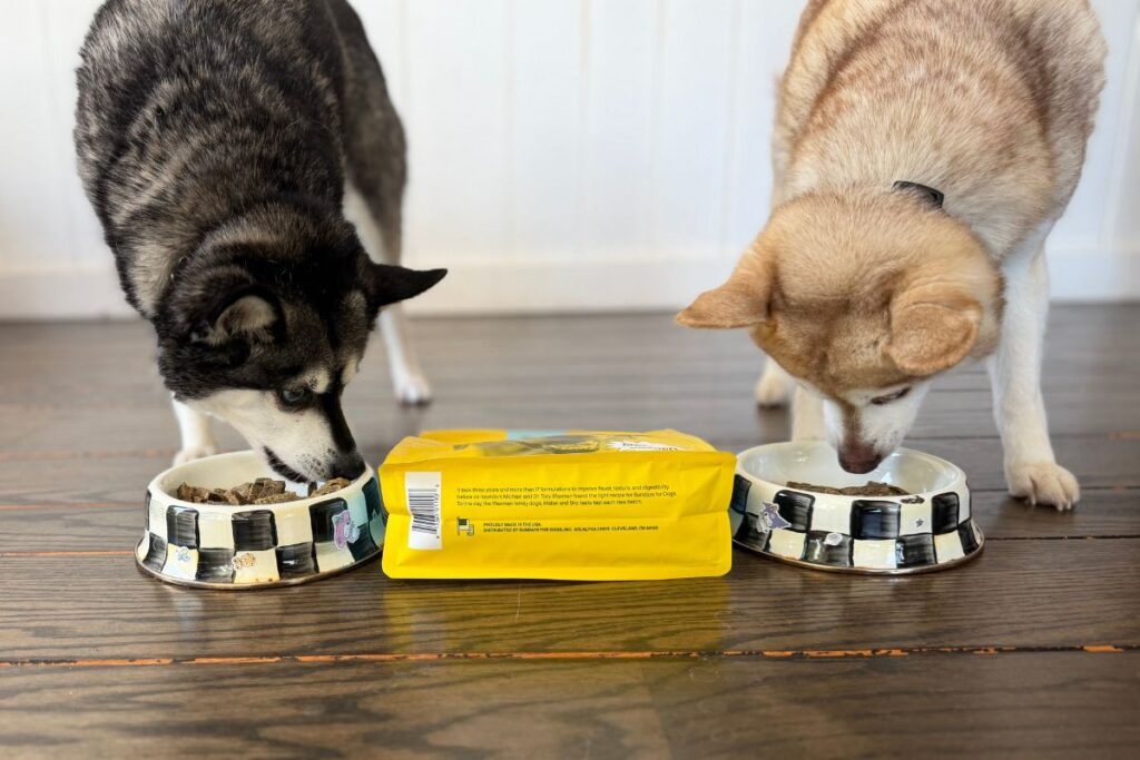 Copper and Skye tuck into Sundays Dog Food in May 2026