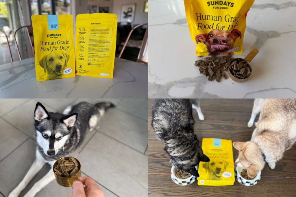 Sundays Dog Food Life With Klee Kai Recommendation